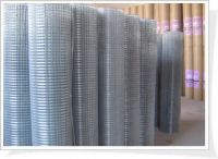 不锈钢电焊网  镀锌电焊网  涂塑电焊网  PVC电焊网