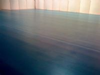 舞蹈地胶舞蹈房地板舞台地板