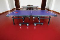 乒乓球塑胶地板乒乓球场馆专用地板