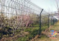 河北东石金属网栏厂专业生产双边护栏网，框架护栏网