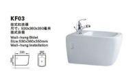 中国卫浴十大品牌-阿里斯顿卫浴妇洗器alsd-03